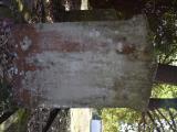 image of grave number 938287